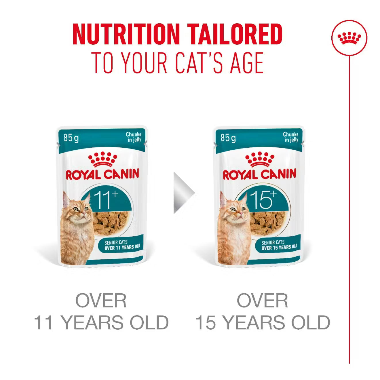 Royal Canin Ageing 11+ Wet Cat Food Chunks in Jelly for Senior Cats, 85g