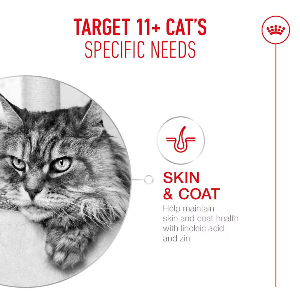 Royal Canin Ageing 11+  Dry Cat Food for Senior Cats
