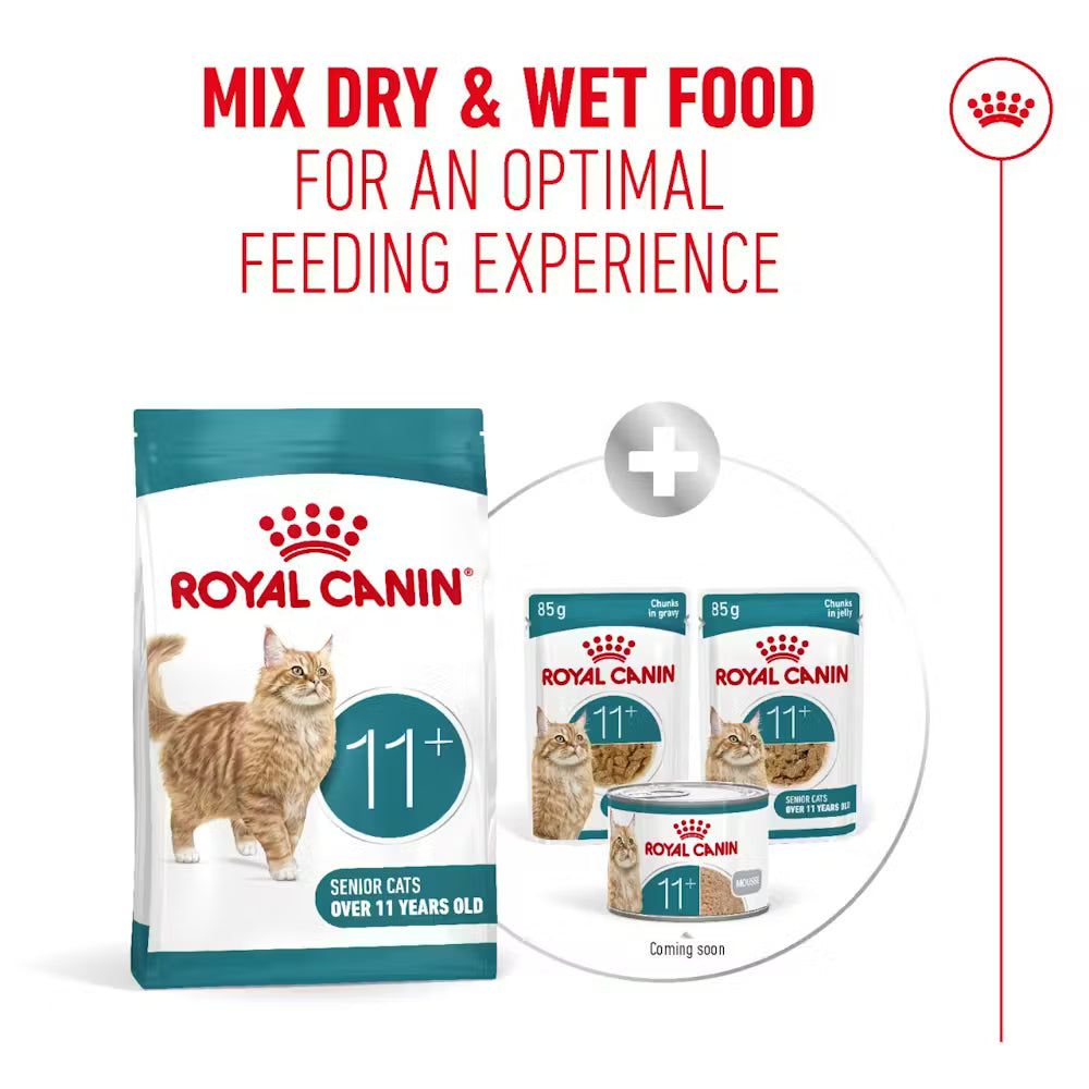 Royal Canin Ageing 11+  Dry Cat Food for Senior Cats