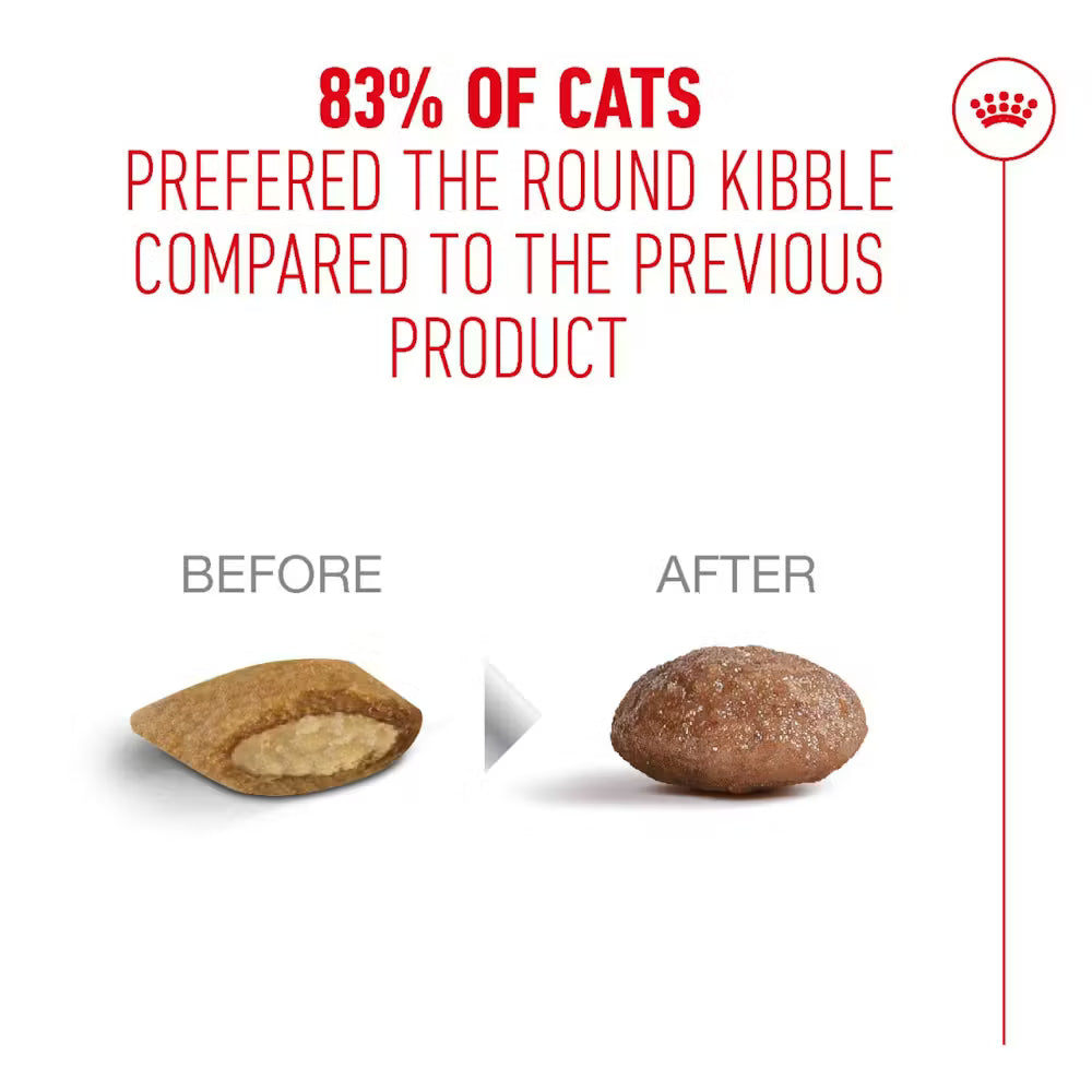 Royal Canin Ageing 11+  Dry Cat Food for Senior Cats