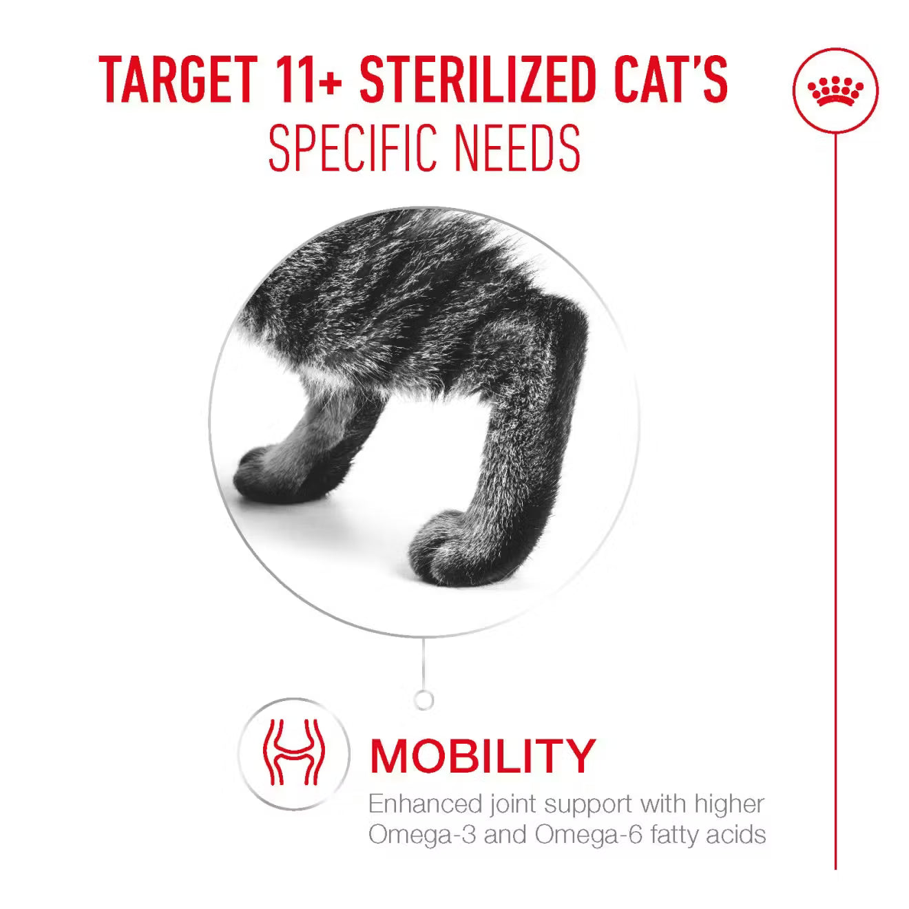 Royal Canin Ageing 11+ Sterilised Dry Cat Food for Senior Cats