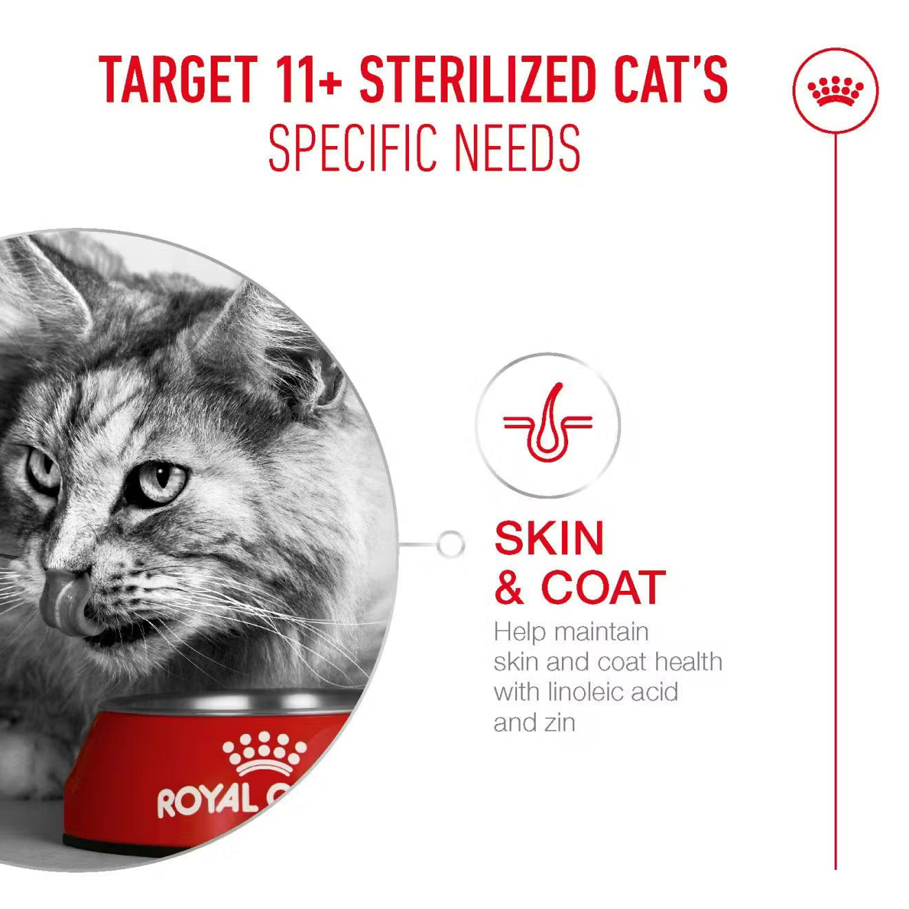 Royal Canin Ageing 11+ Sterilised Dry Cat Food for Senior Cats