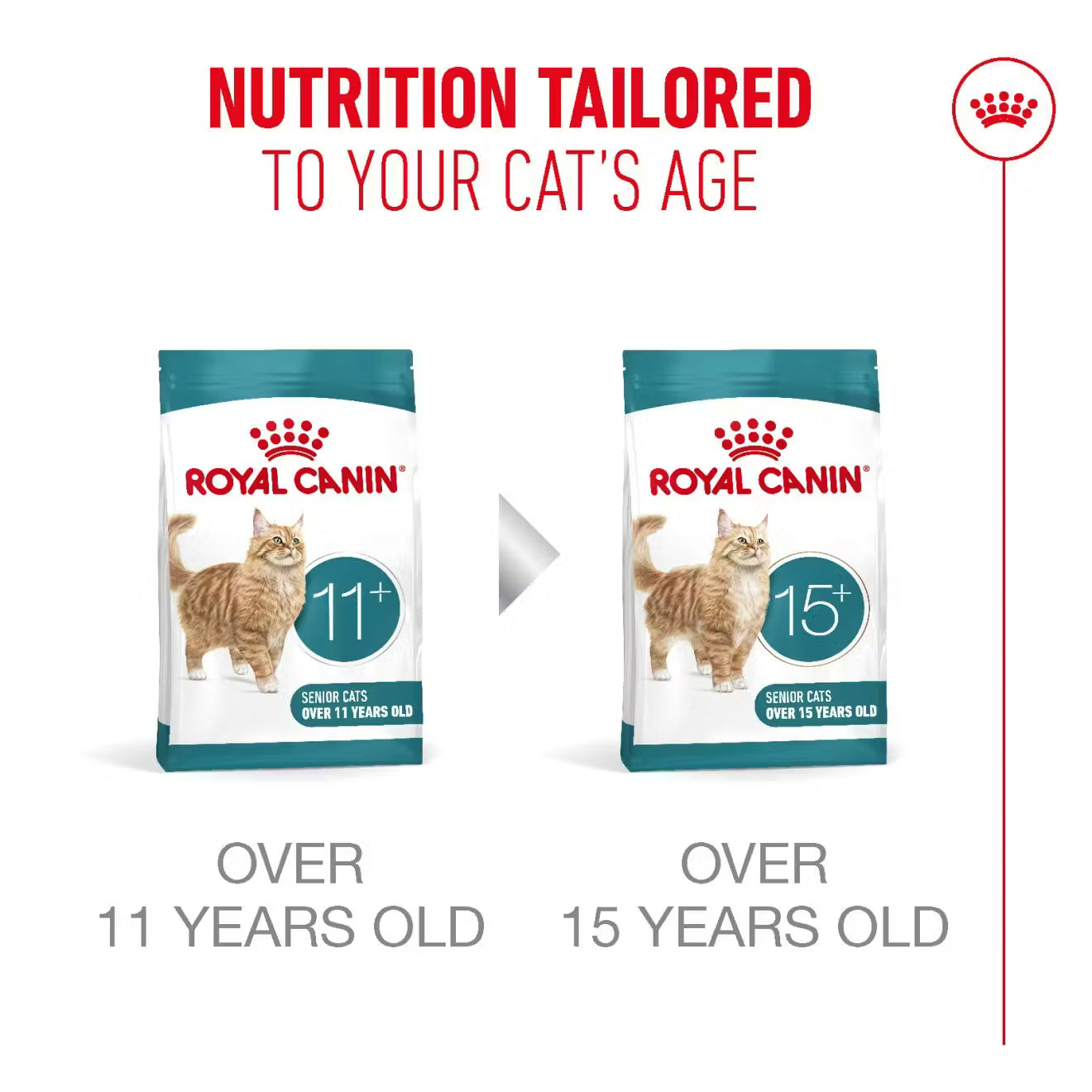 Royal Canin Ageing 11+ Sterilised Dry Cat Food for Senior Cats