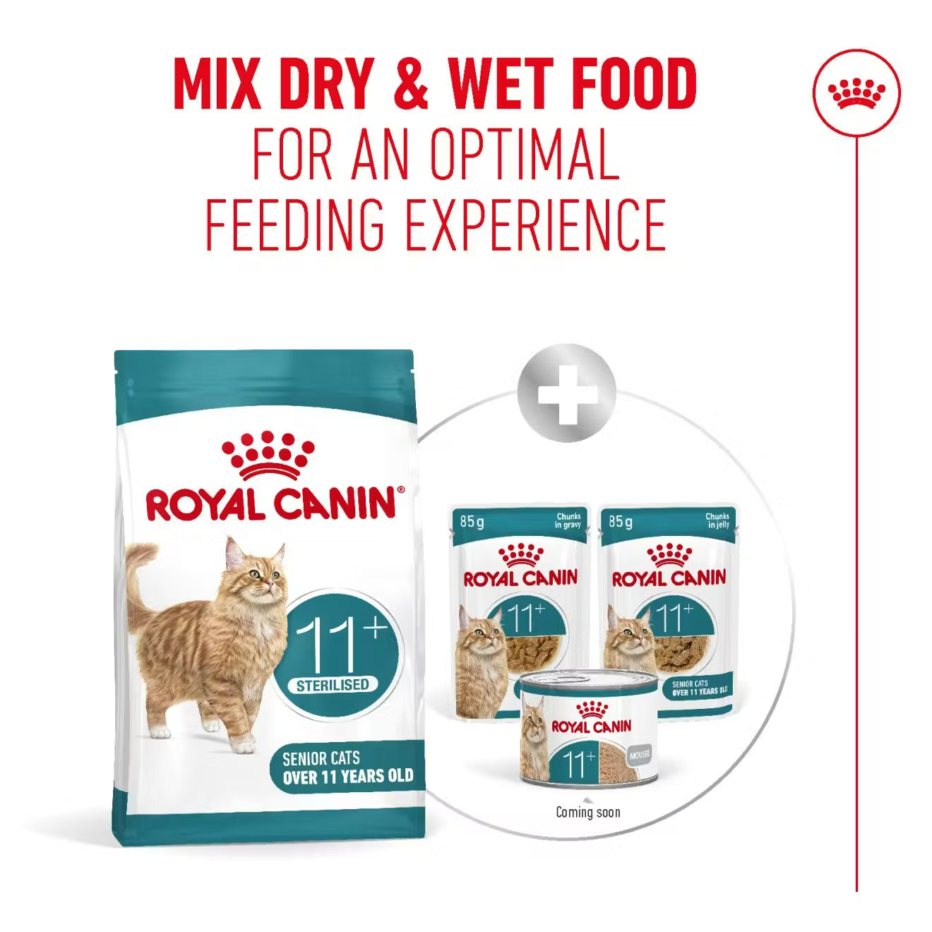 Royal Canin Ageing 11+ Sterilised Dry Cat Food for Senior Cats