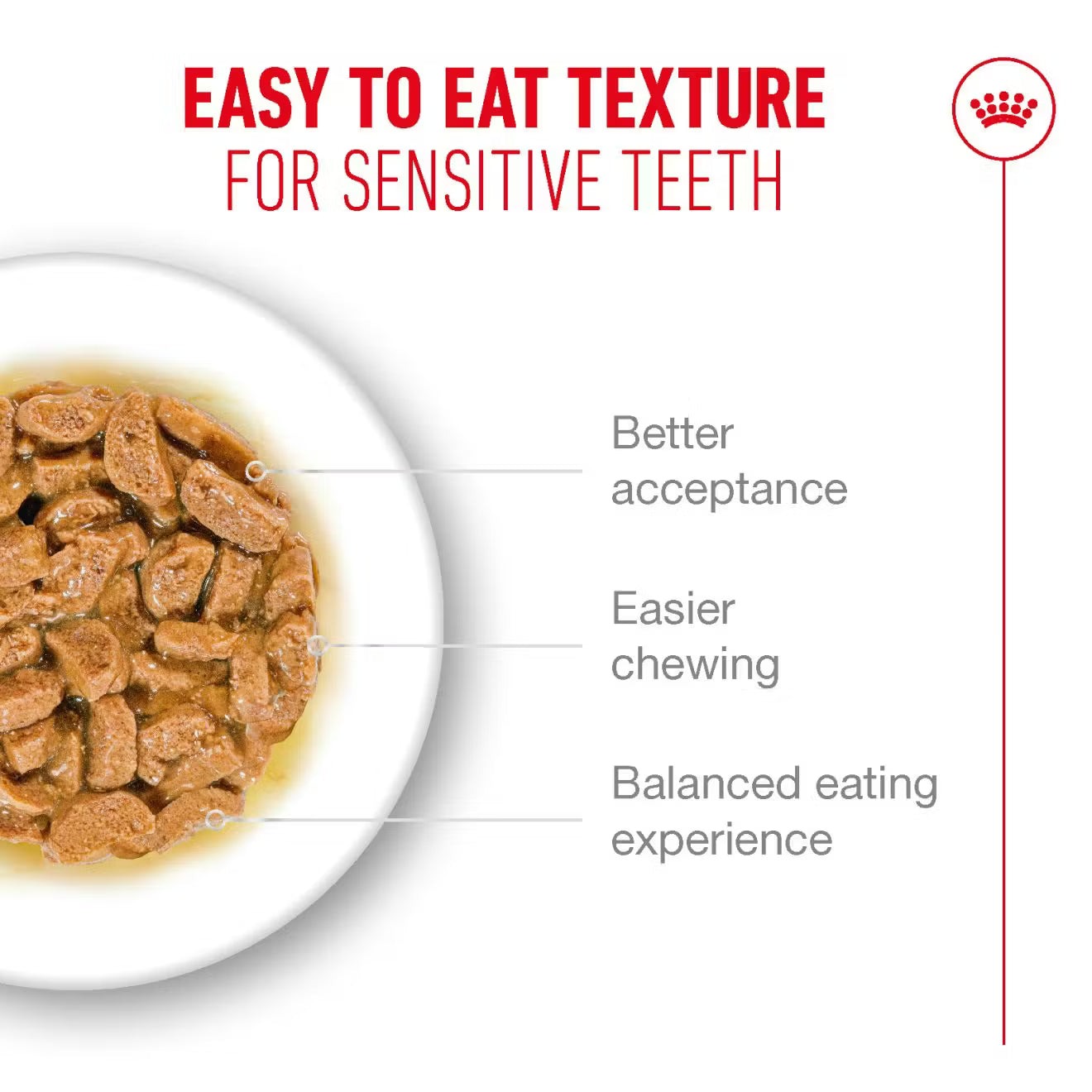 Royal Canin Ageing 15+ Wet Cat Food Chunks in Gravy for Senior Cats, 85g