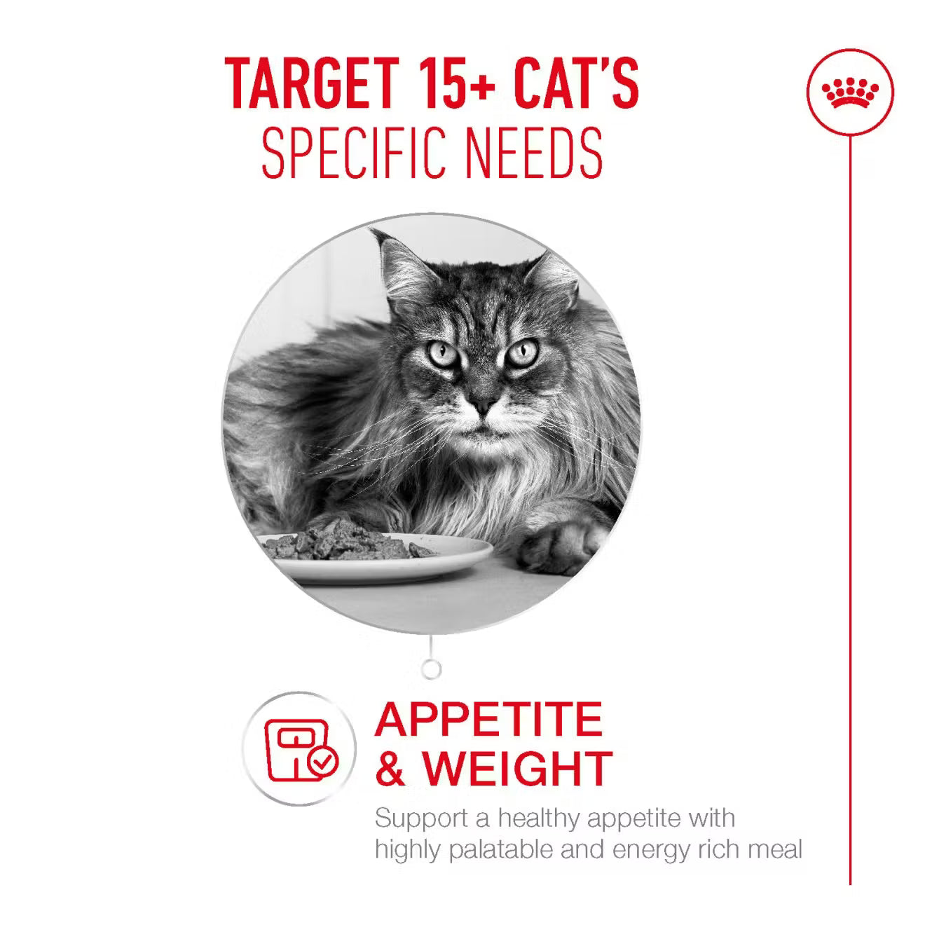 Royal Canin Ageing 15+ Dry Cat Food for Senior Cats