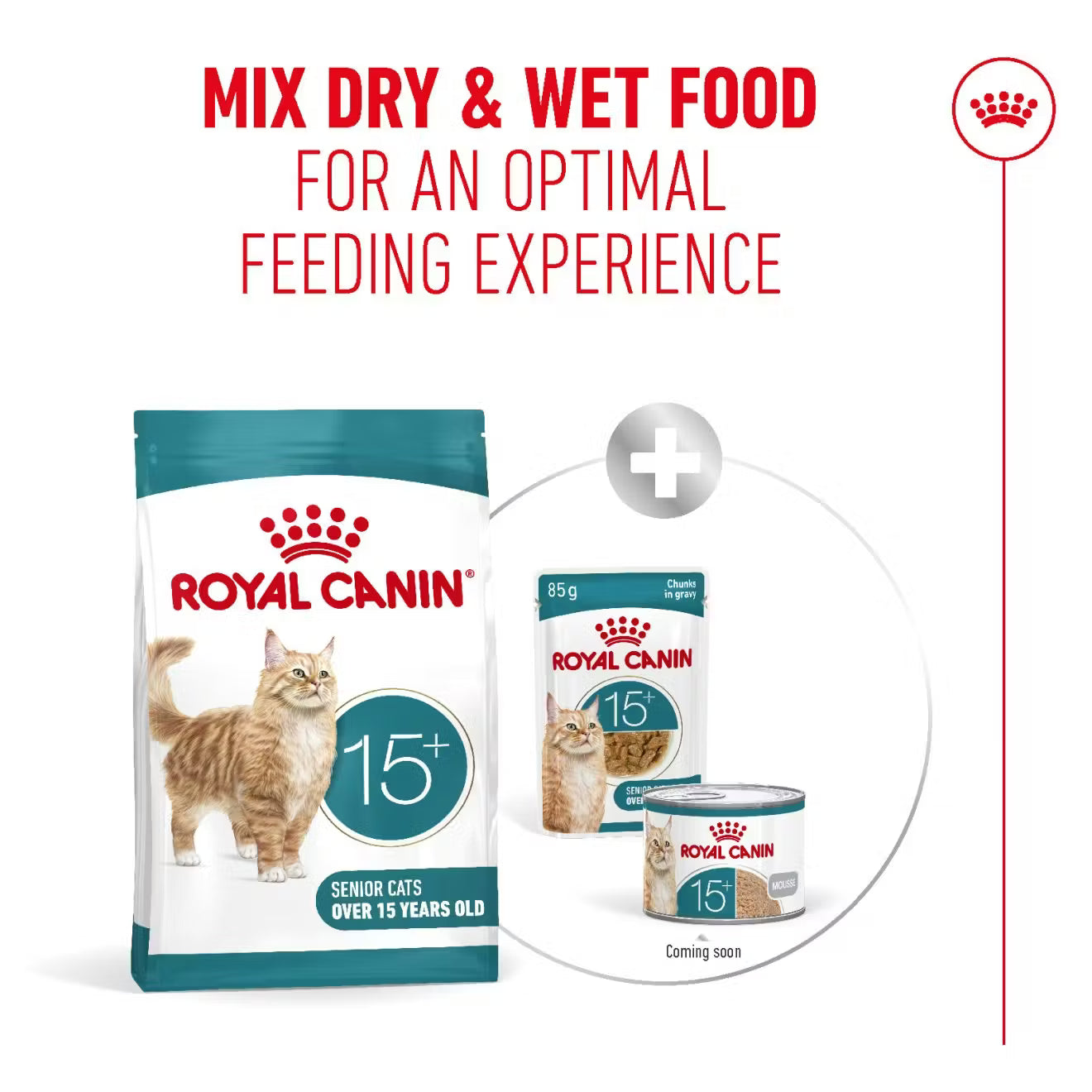 Royal Canin Ageing 15+ Dry Cat Food for Senior Cats