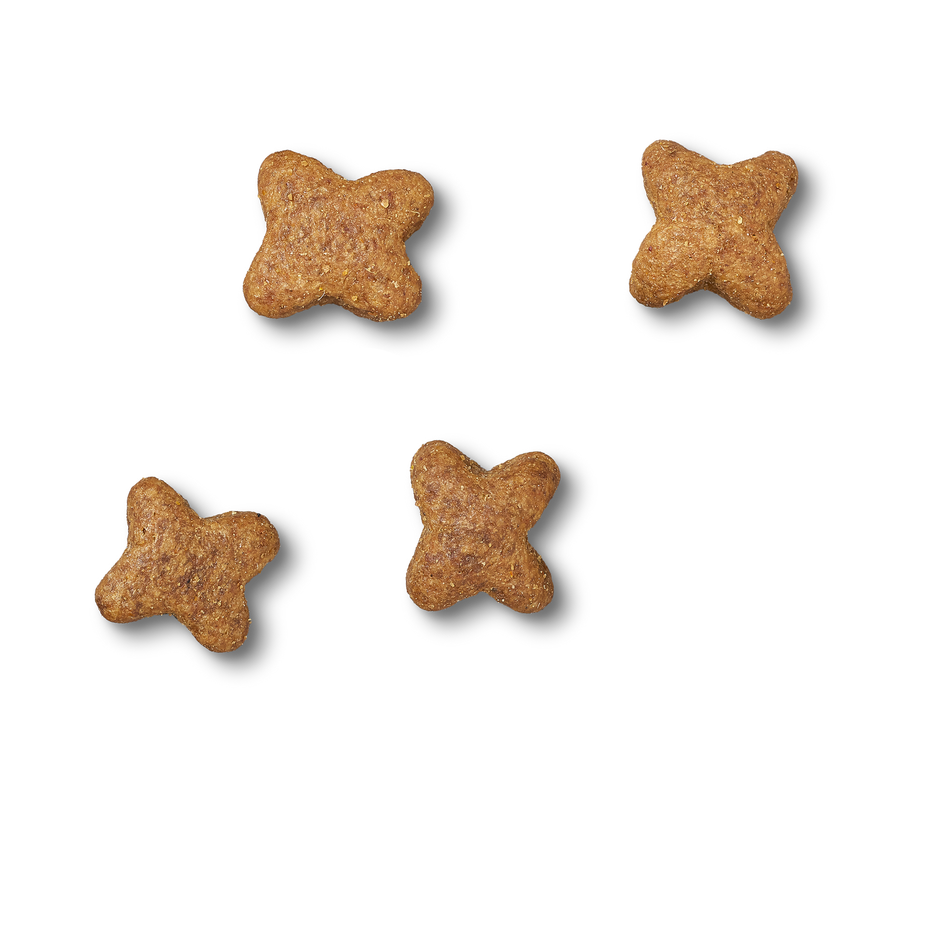 James Wellbeloved Grain Free Fish Dry Dog Food for Adult Dogs, 1.5kg