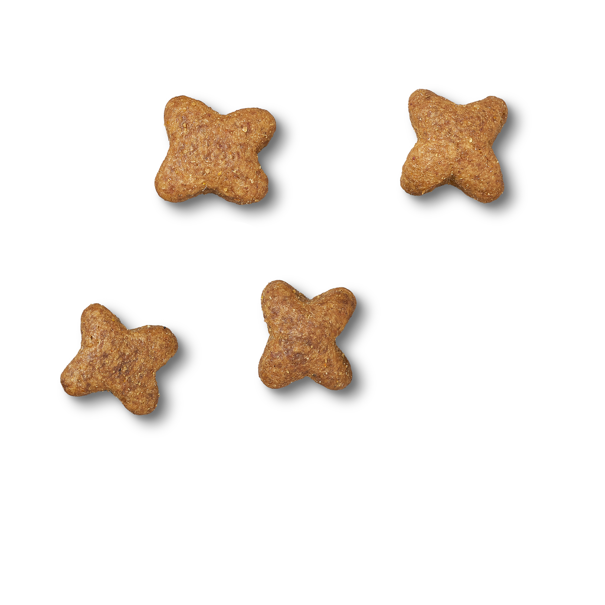 James Wellbeloved Grain Free Fish Dry Dog Food for Adult Dogs, 1.5kg