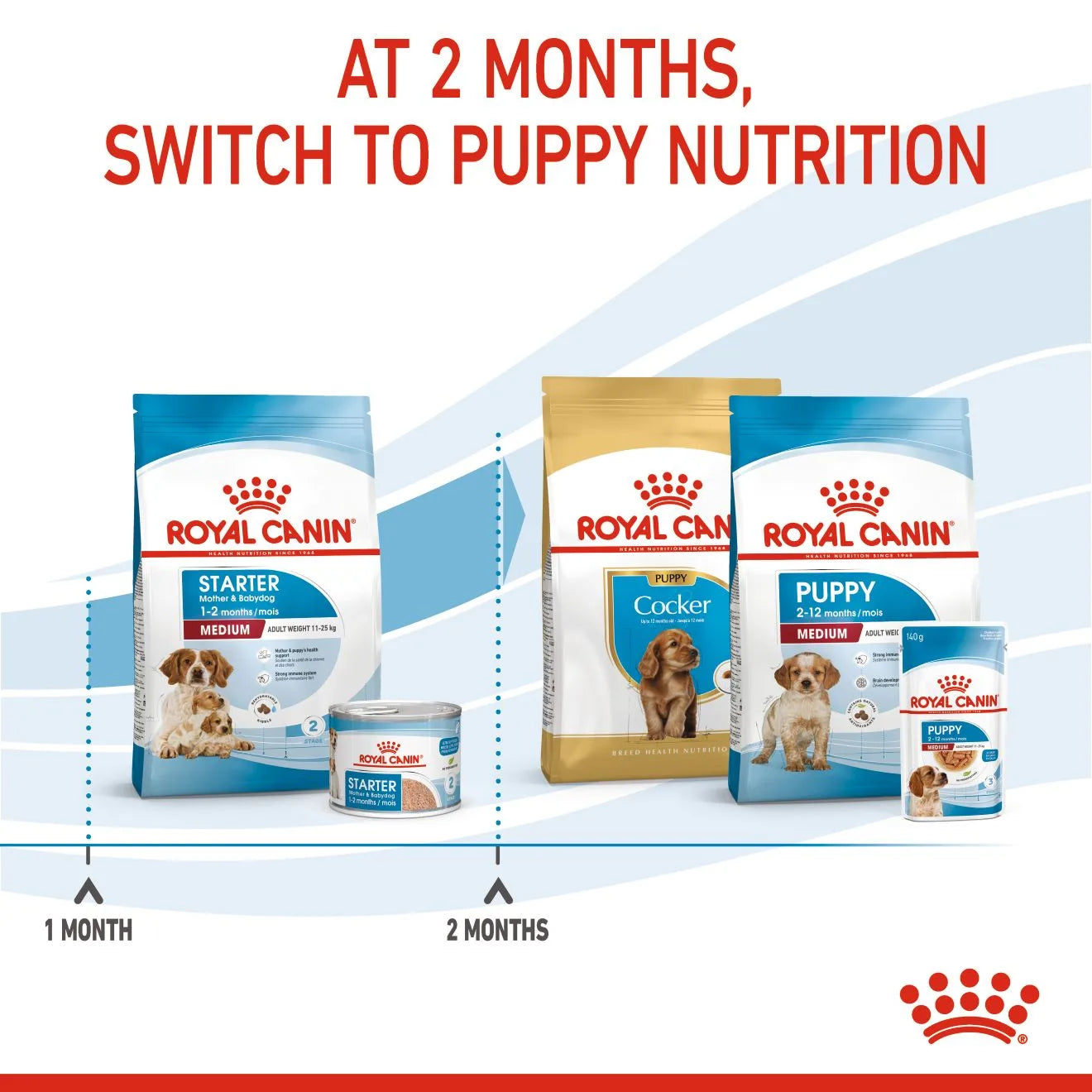 Royal Canin Starter Dry Dog Food for Medium Breed Mother & Babydog