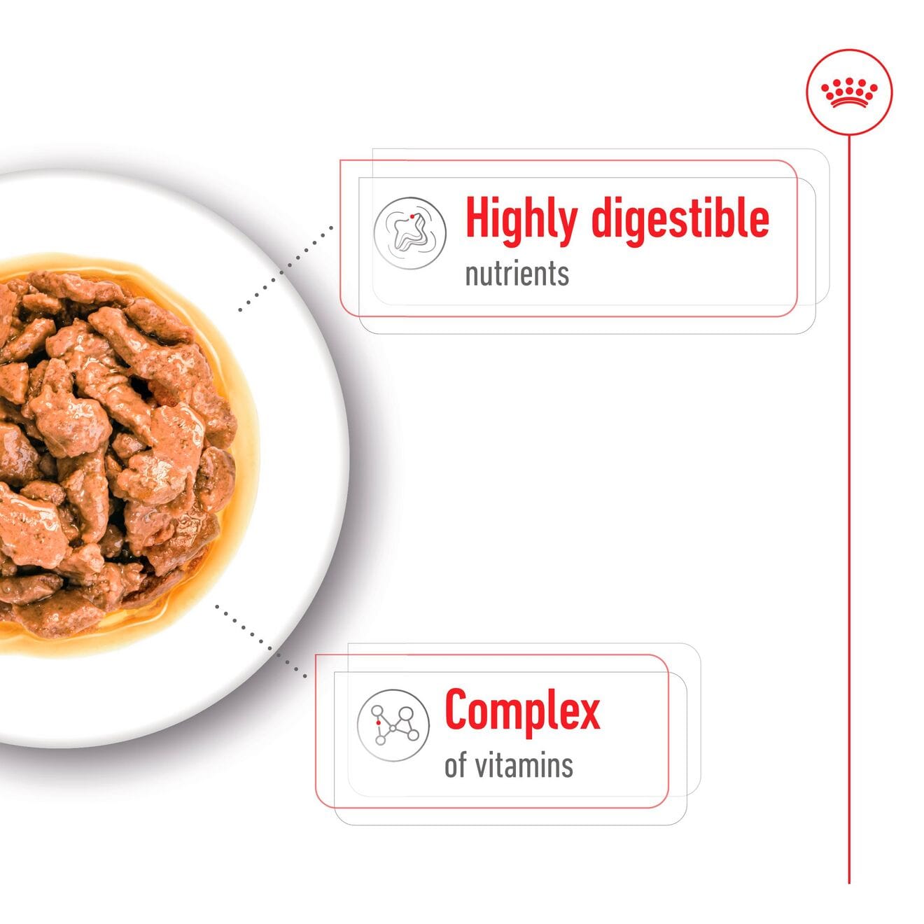 Royal Canin Wet Dog Food Chunks In Gravy for Small Breed Adult Dogs, 85g
