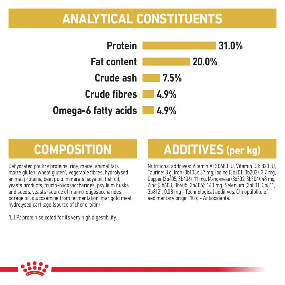 Royal Canin Dry Cat Food for Adult Maine Coon Cats