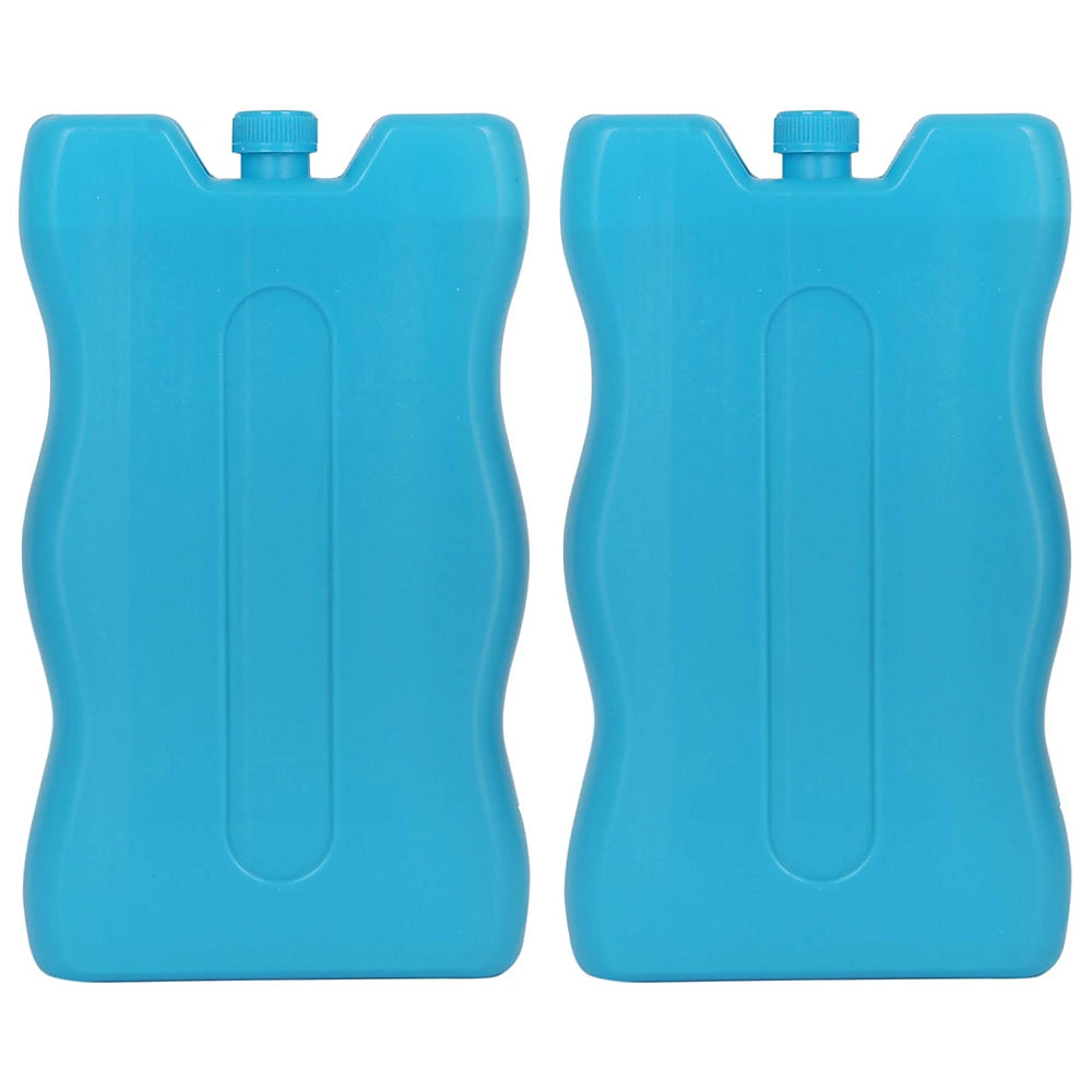 Ashley 2 Piece Ice Brick Pack