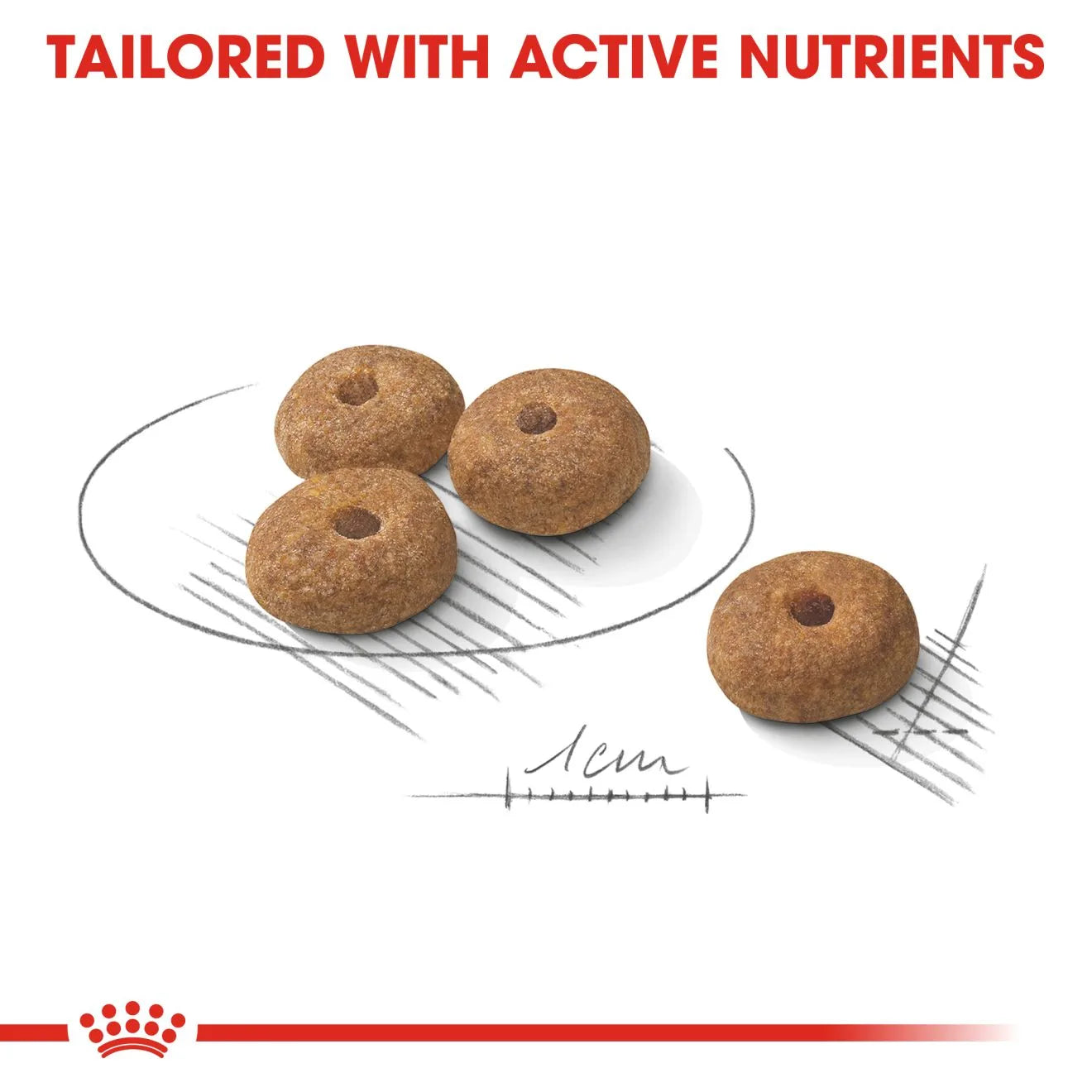 Royal Canin Sterilised Dry Dog Food for Small Breed Adult Dogs