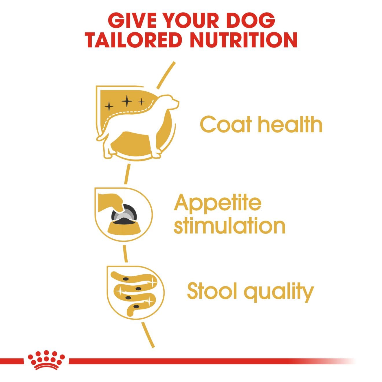 Royal Canin Wet Dog Food In Loaf for Adult Yorkshire Terriers, 85g