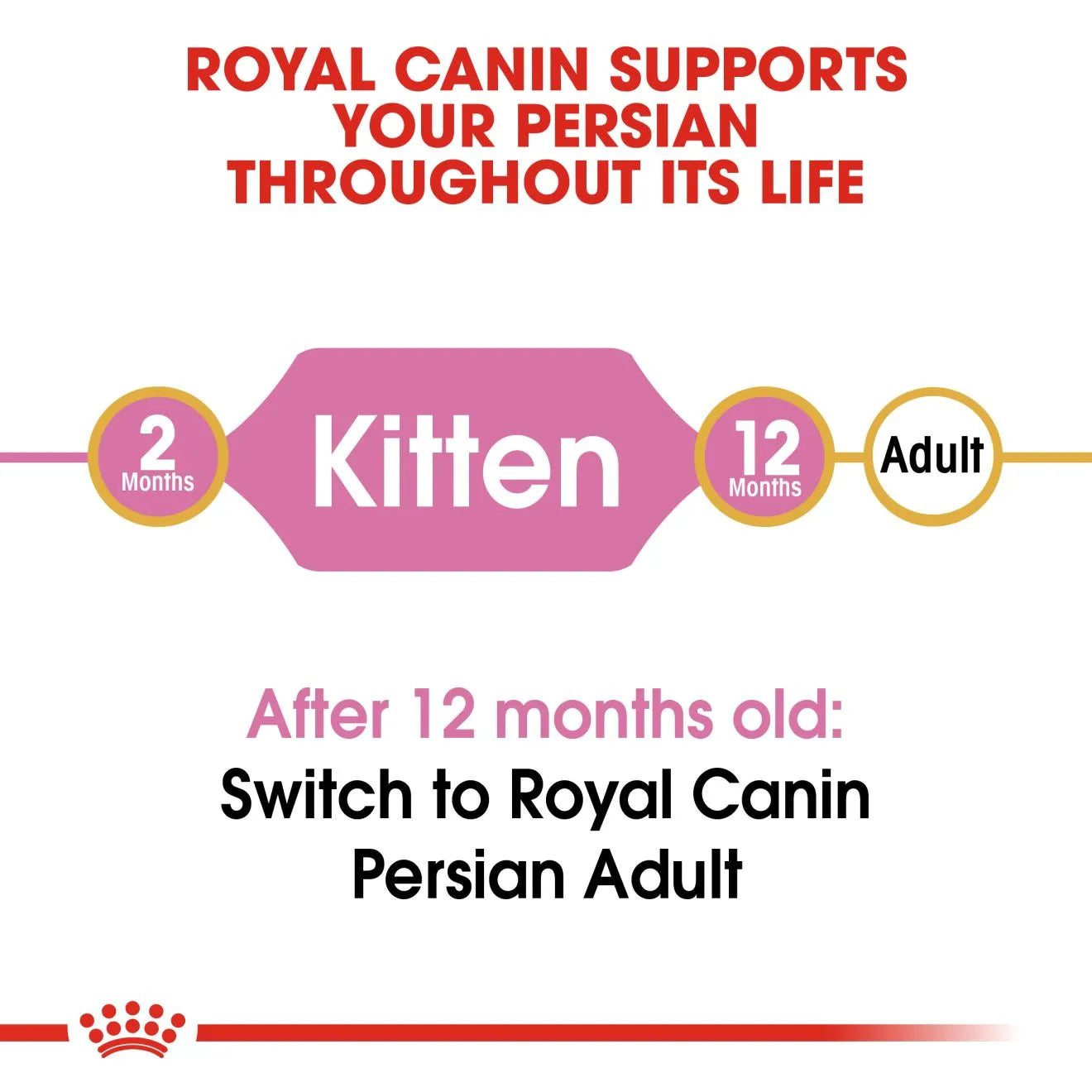 Royal Canin Dry Cat Food for Persian Kittens
