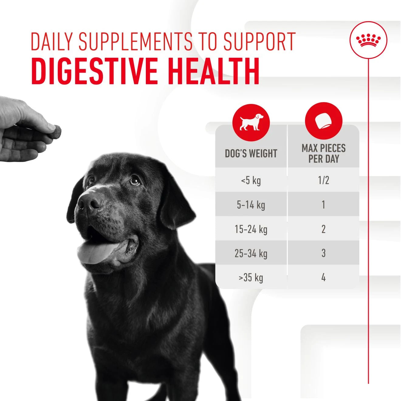 Royal Canin Dog Supplement for Digestion Soft Chews, 160g