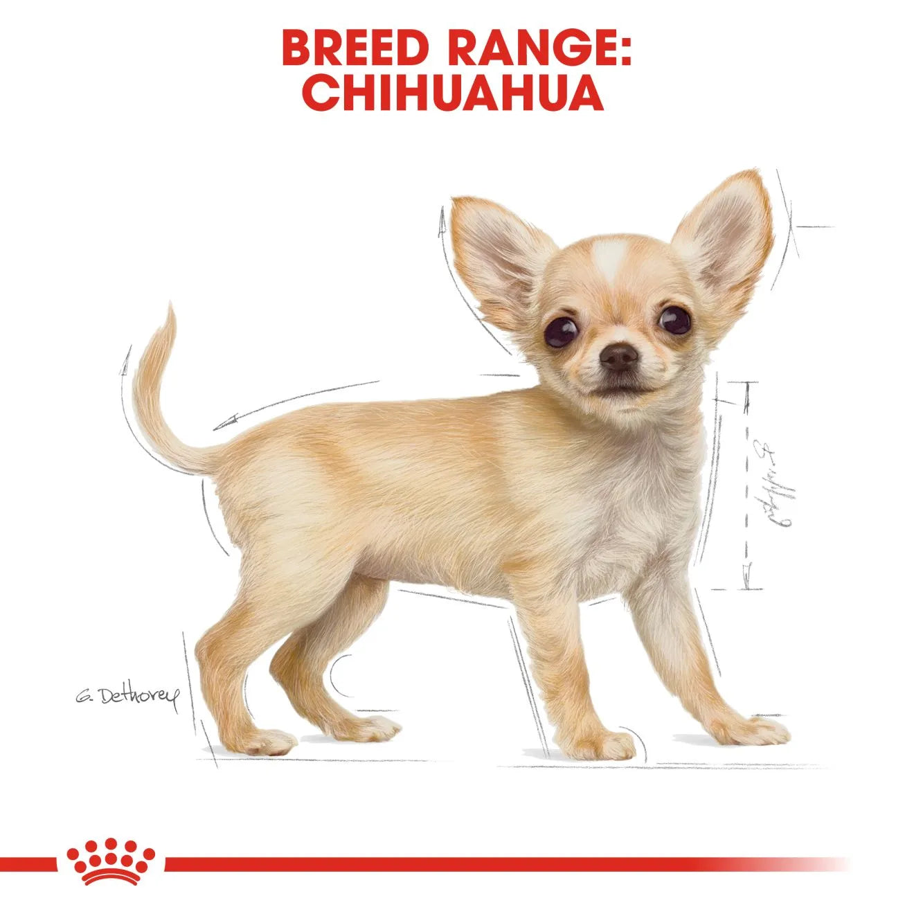Royal Canin Dry Dog Food for Chihuahua Puppies, 1.5kg
