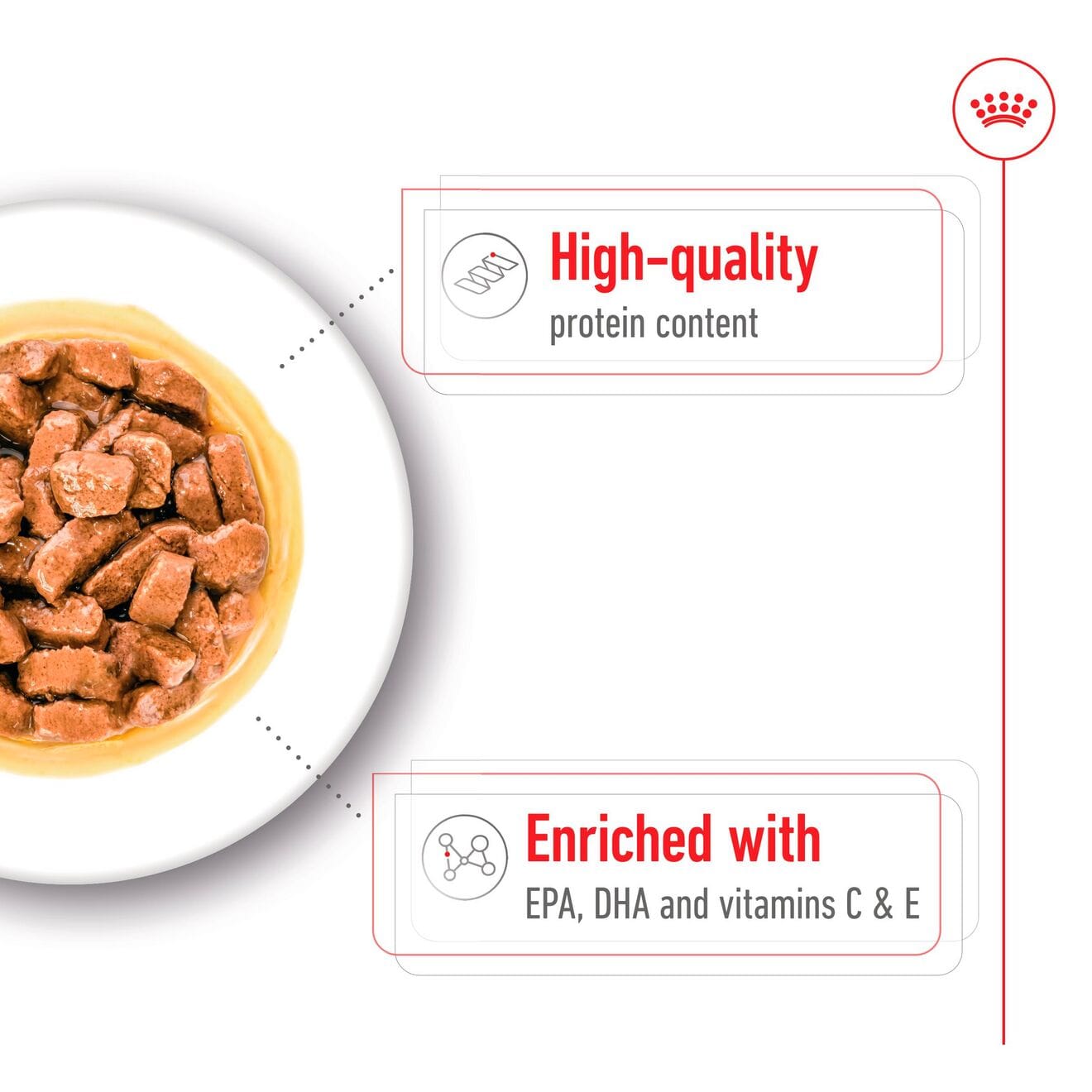 Royal Canin Ageing 7+ Wet Dog Food Chunks In Gravy for Medium Breed Senior Dogs, 140g