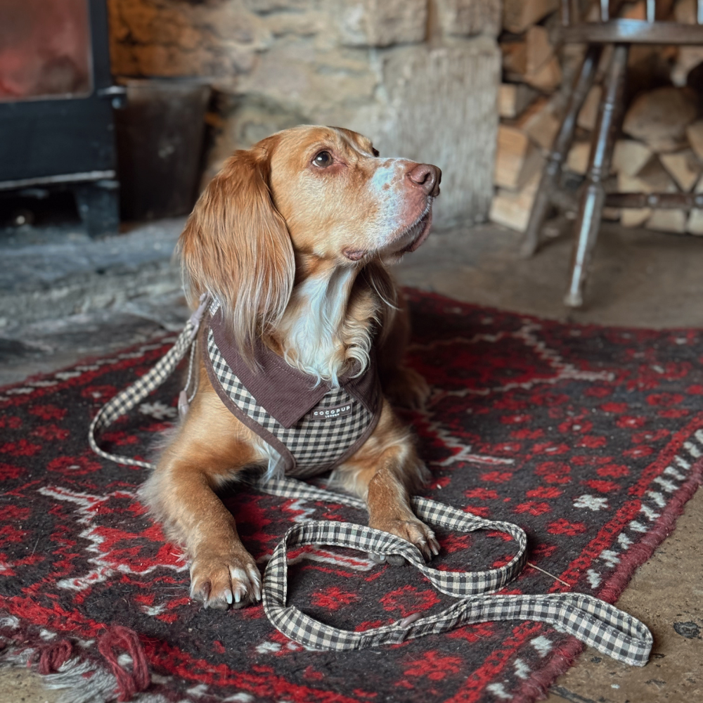 Cocopup Cotswolds Check Adjustable Neck Dog Harness