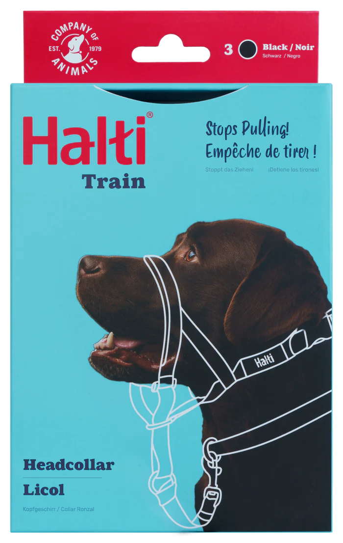 Halti Train Headcollar, Black