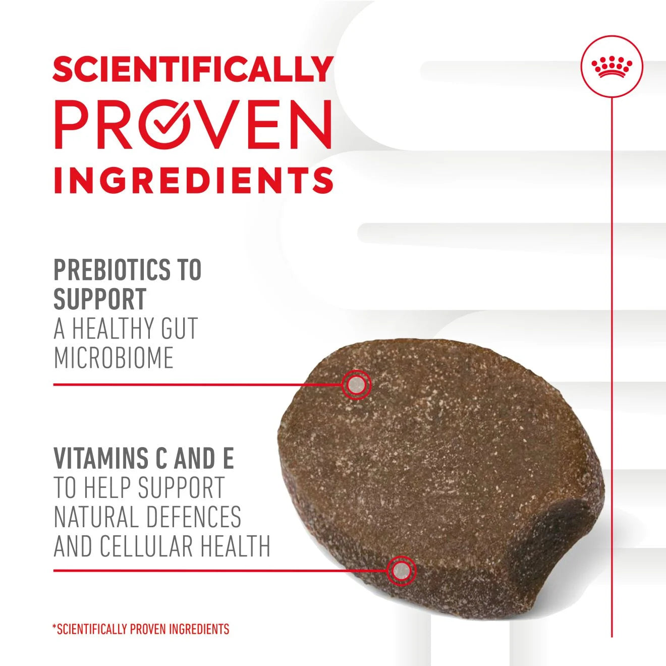Royal Canin Puppy Supplement for Immunity & Digestion Soft Chews, 100g