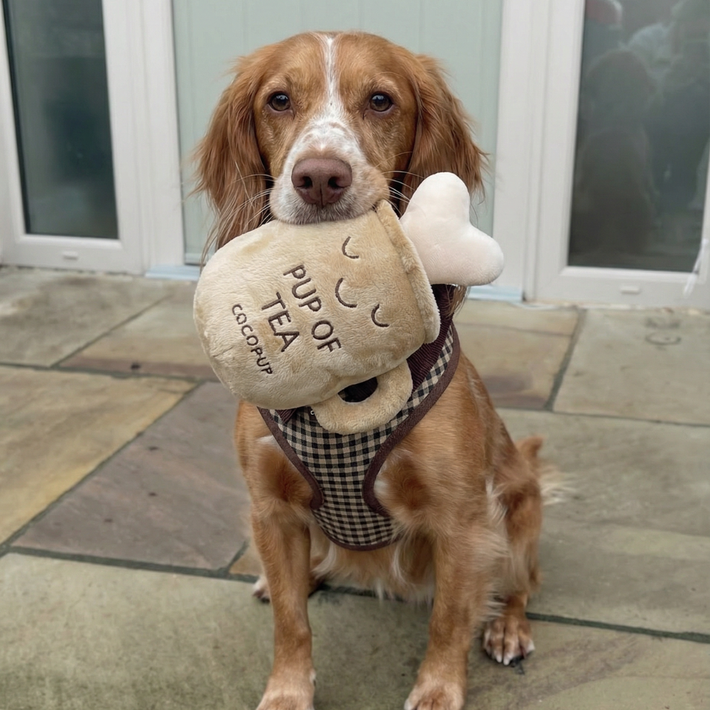 Cocopup Pup of Tea Dog Toy