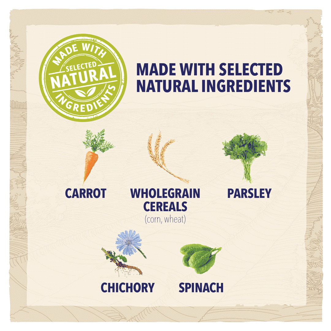 Beta Chicken Dry Dog Food for Adult Dogs