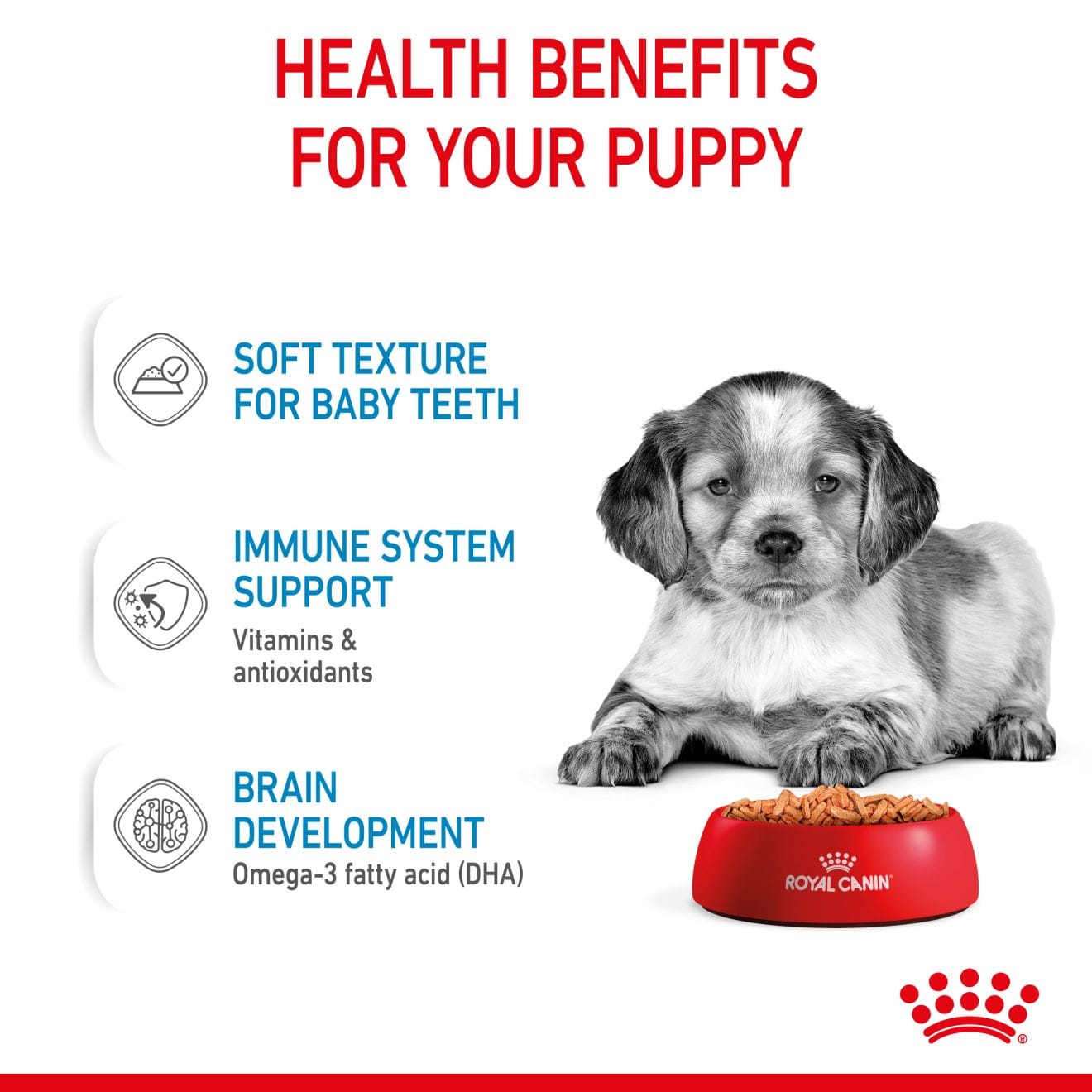 Royal Canin Wet Dog Food Chunks In Gravy for Medium Breed Puppies, 140g