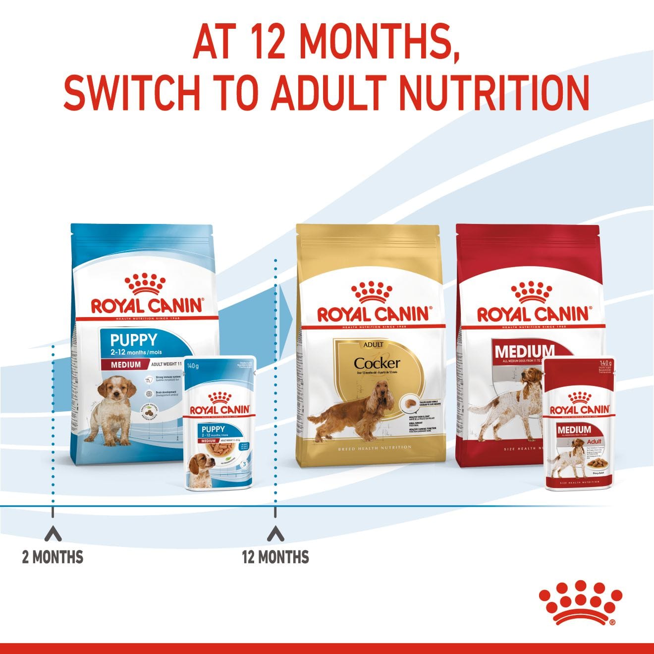Royal Canin Wet Dog Food Chunks In Gravy for Medium Breed Puppies, 140g