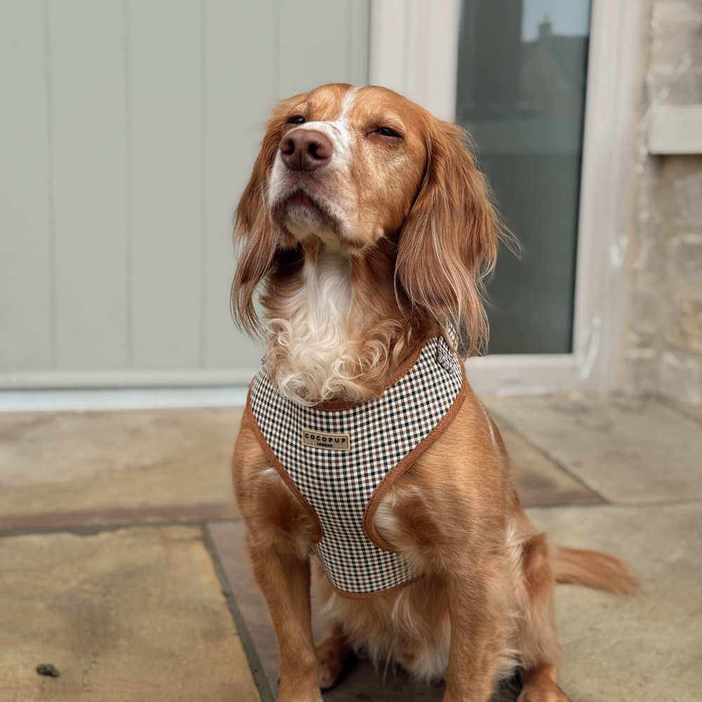 Cocopup Heritage Check Adjustable Neck Dog Harness