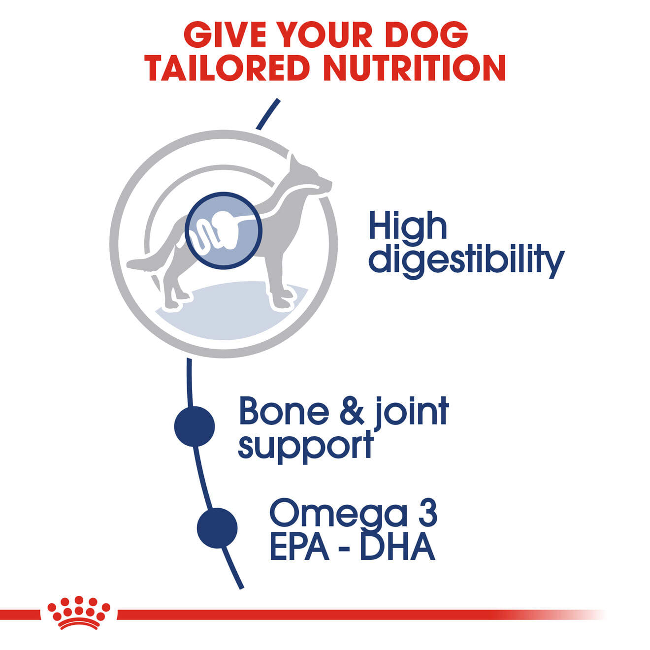 Royal Canin Wet Dog Food Chunks In Gravy for Large Breed Adult Dogs, 140g