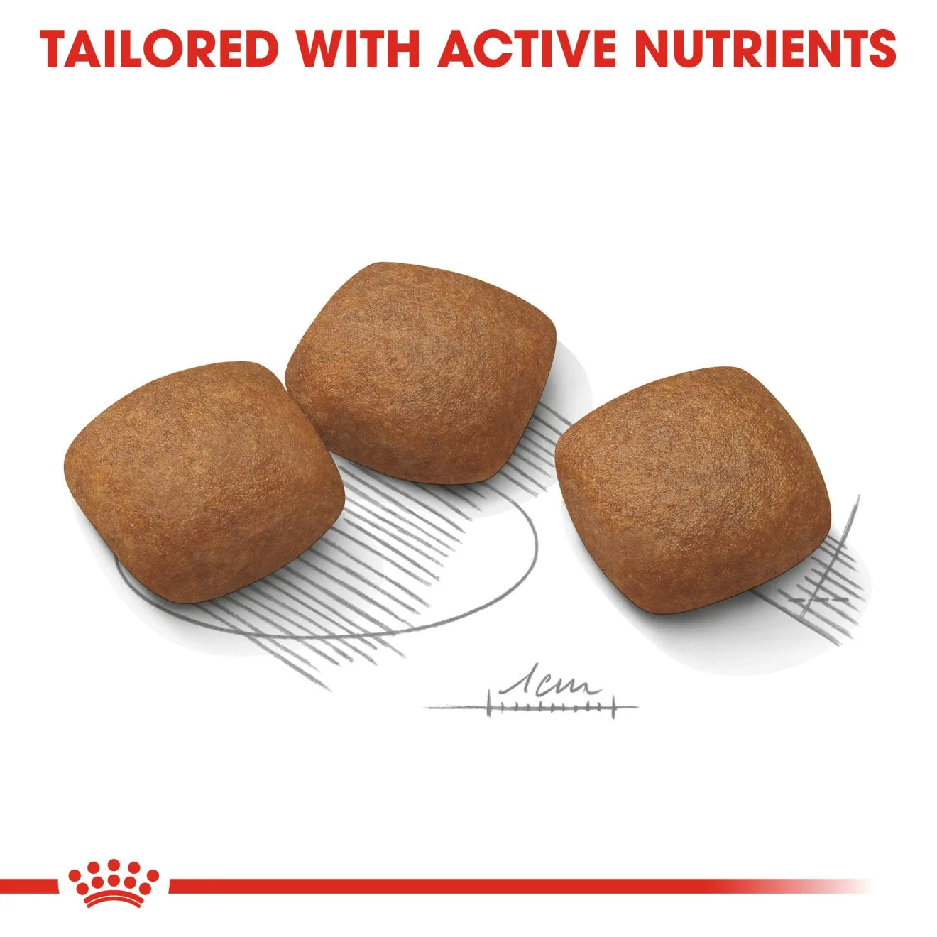 Royal Canin Joint Care Dry Dog Food for Large Breed Adult Dogs, 10kg