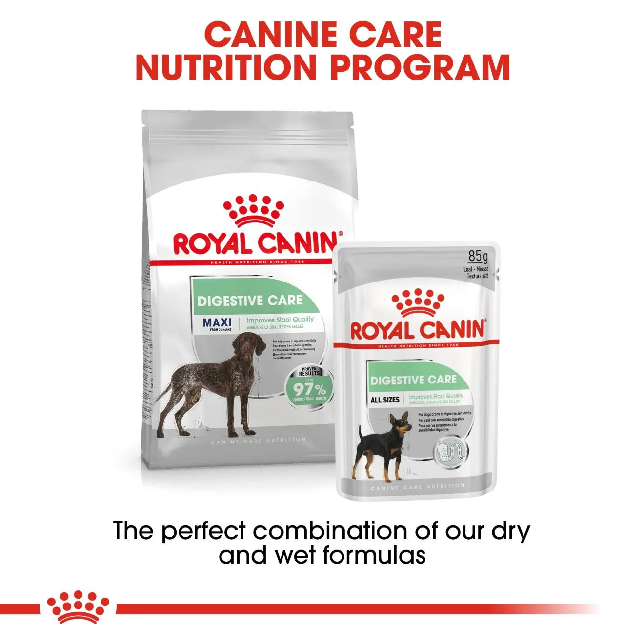Royal Canin Digestive Care Dry Dog Food for Large Breed Adult Dogs, 12kg