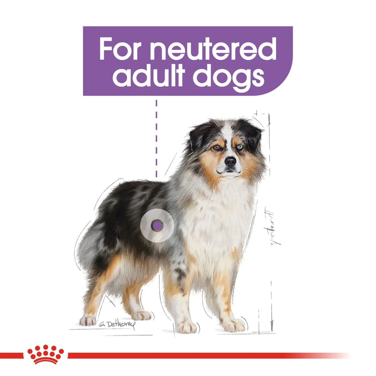 Royal Canin Sterilised Dry Dog Food for Medium Breed Adult Dogs, 12kg