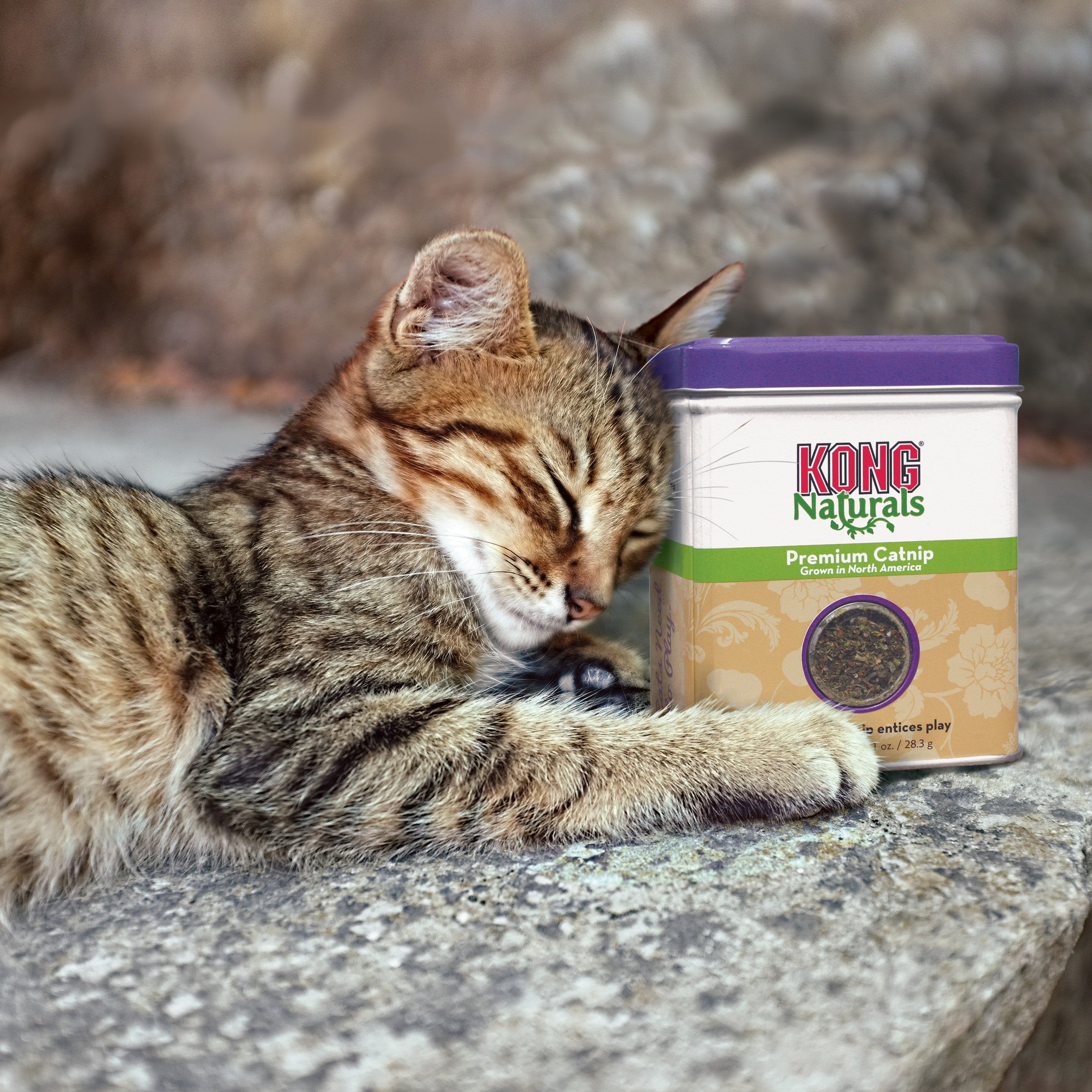 Kong Naturals Premium Catnip, 2oz
