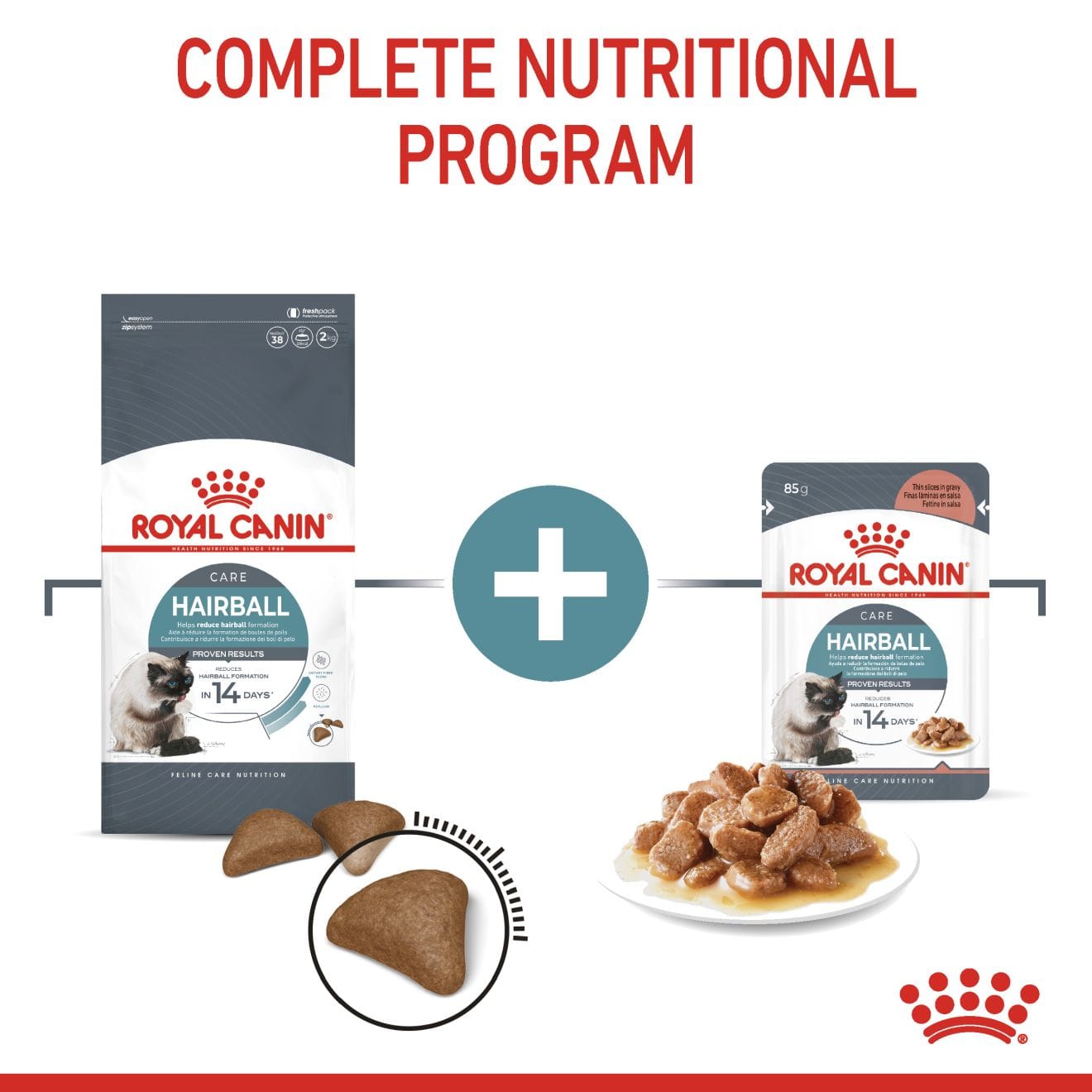 Royal Canin Hairball Care Wet Cat Food Thin Slices In Gravy for Adult Cats, 85g