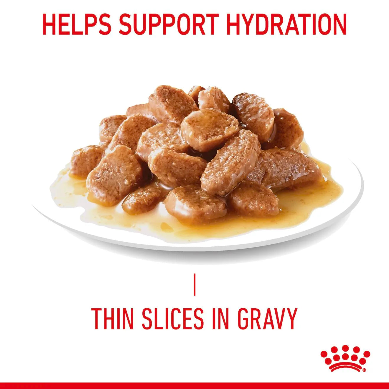 Royal Canin Appetite Control Wet Cat Food Thin Slices In Gravy for Adult Cats, 85g
