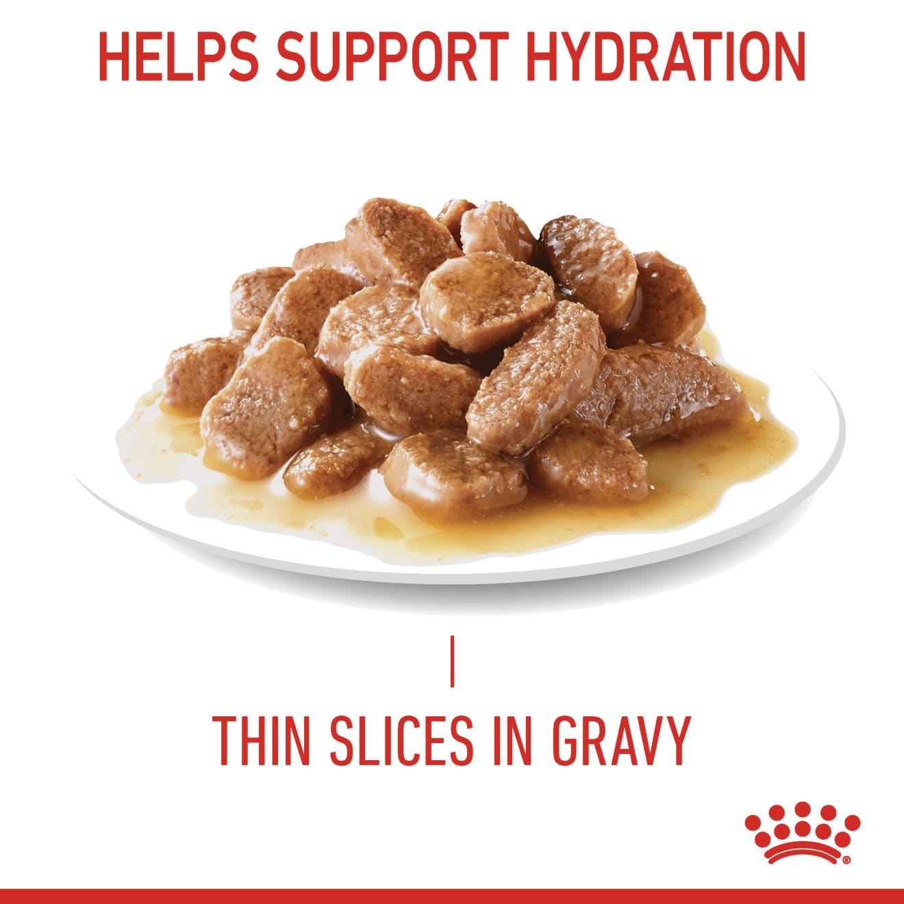 Royal Canin Hair & Skin Care Wet Cat Food Thin Slices In Gravy for Adult Cats, 85g
