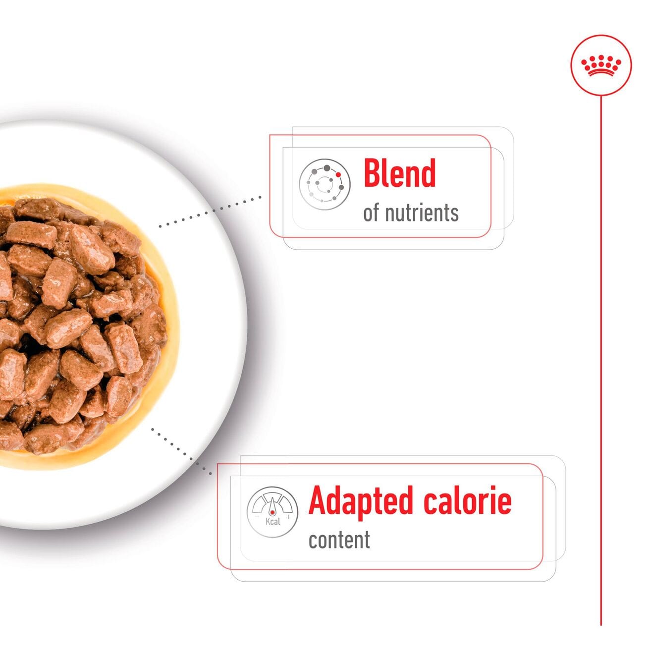 Royal Canin Ageing 8+ Wet Dog Food Chunks In Gravy for Small Breed Senior Dogs, 85g