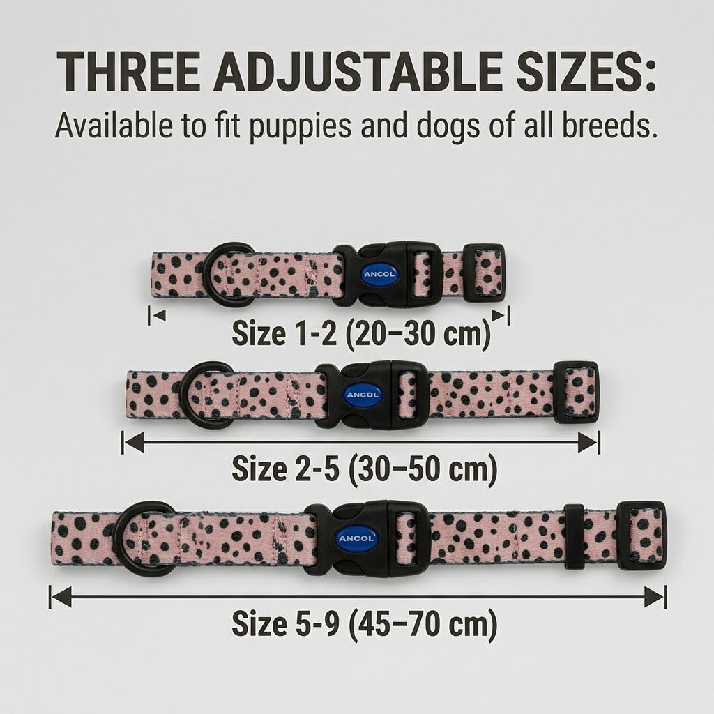 Ancol Soho Dalmatian Patterned Dog Collar All Life Stages 20-70cm