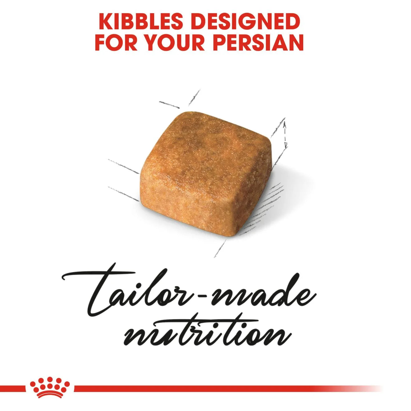 Royal Canin Dry Cat Food for Persian Kittens