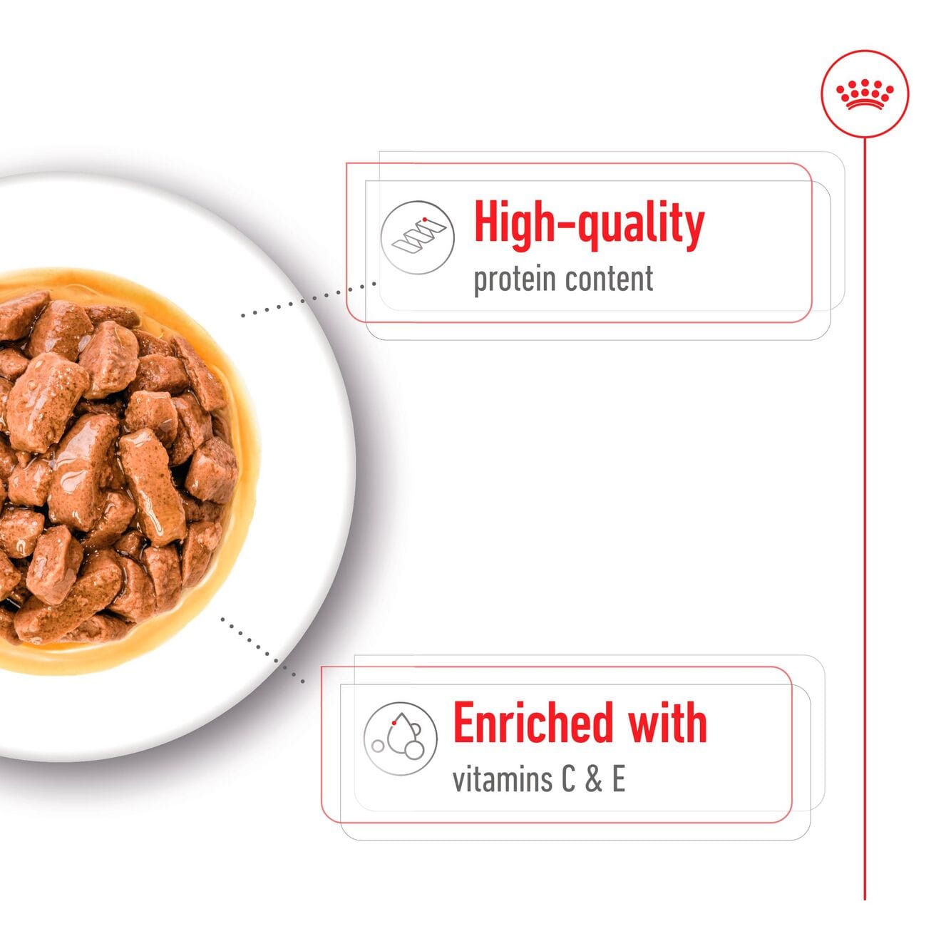 Royal Canin Wet Dog Food Chunks In Gravy for Medium Breed Adult Dogs, 140g