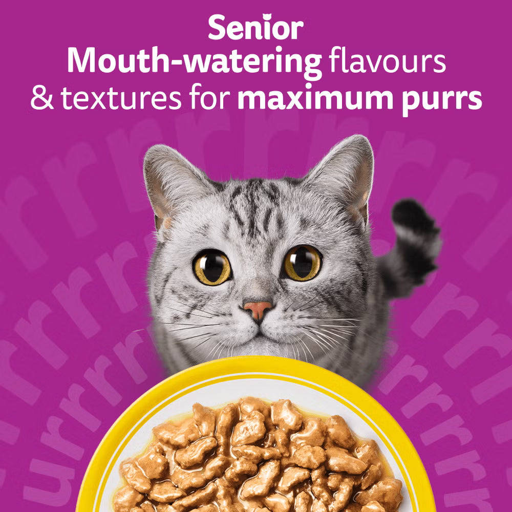 Whiskas 7+ Poultry Feasts in Gravy Wet Cat Food for Senior Cats, 12 x 85g