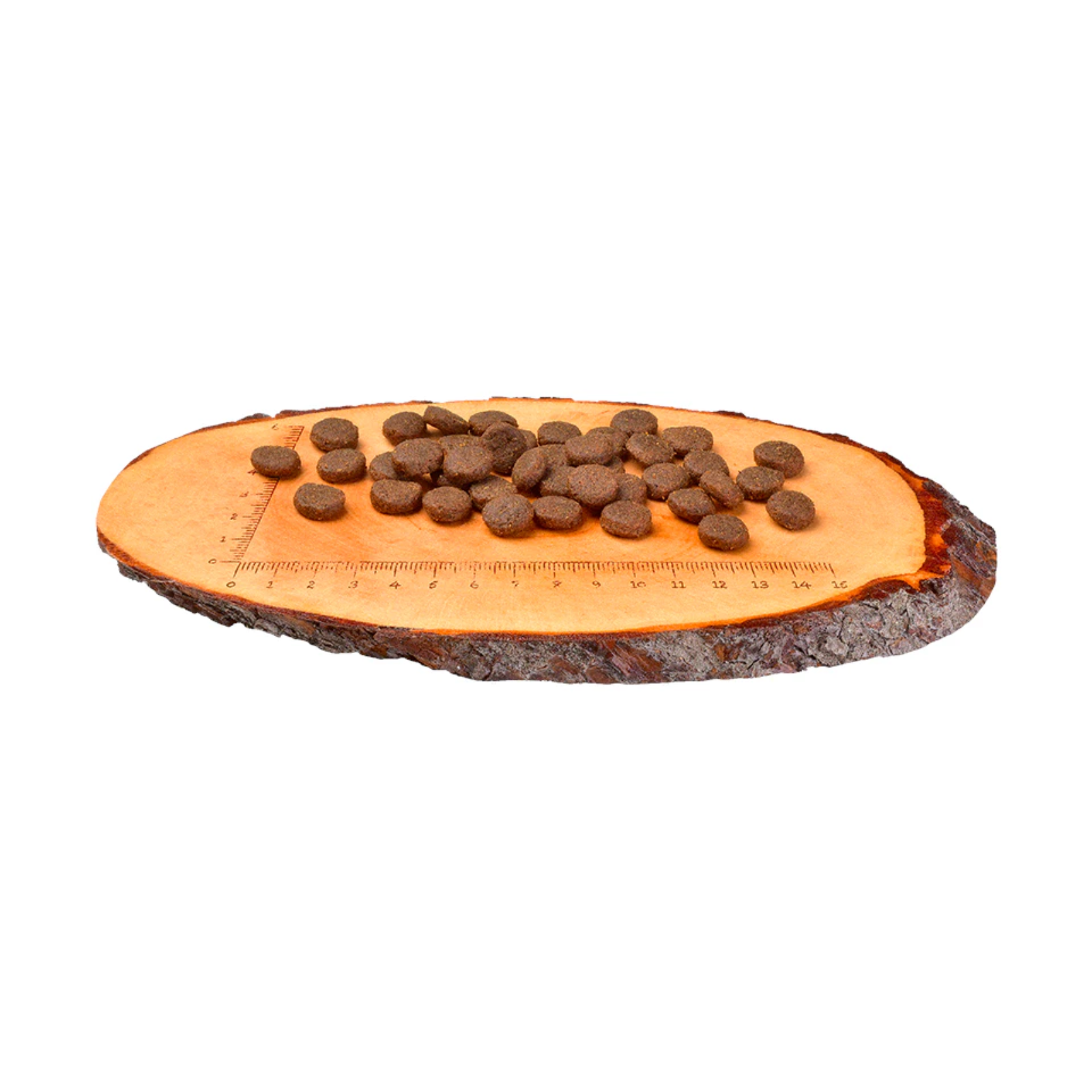 Carnilove Salmon & Turkey Dry Dog Food for Large Breed Puppies