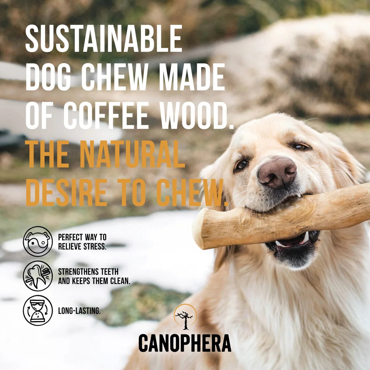 Canophera Coffee Wood Dog Chew Stick