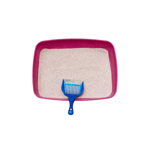 Cat Litter & Accessories