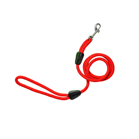 Dog Leads, Collars & Harnesses