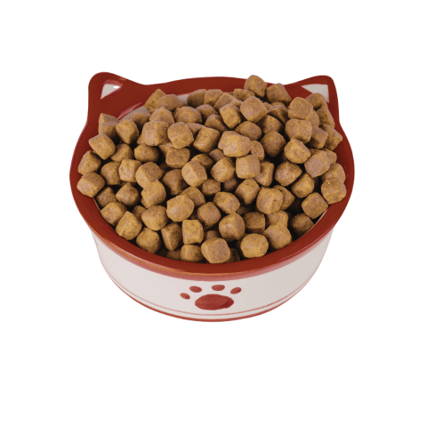 Dry Cat Food