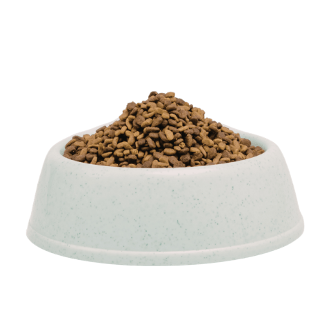 Dry Dog Food